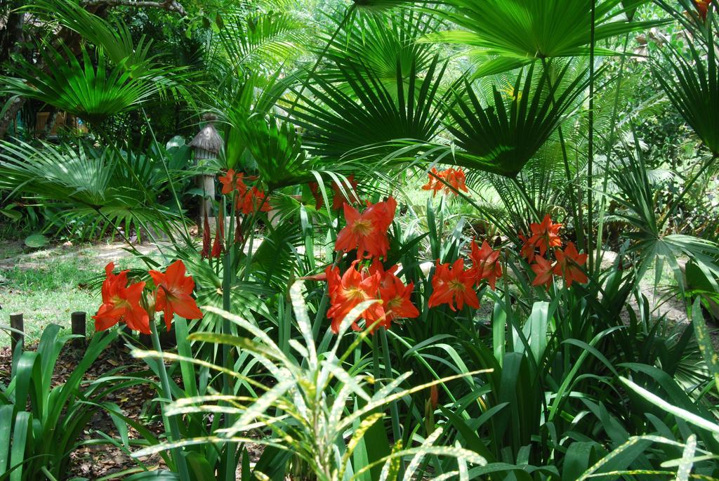 Mata N'Ativa Pousada Trancoso Ngoại thất bức ảnh