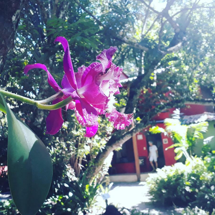 Mata N'Ativa Pousada Trancoso Ngoại thất bức ảnh