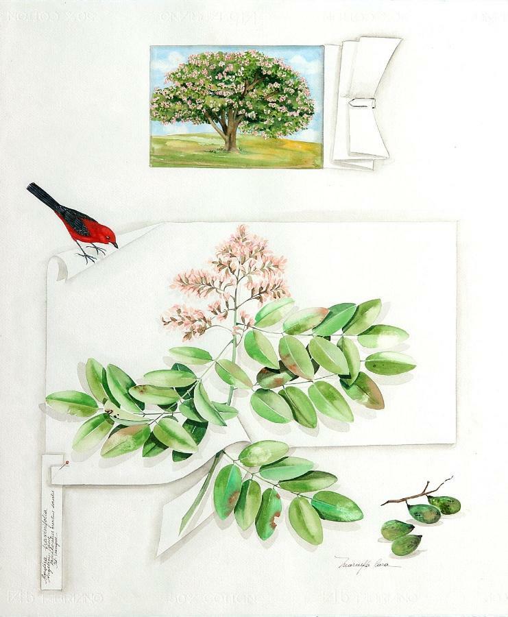 Mata N'Ativa Pousada Trancoso Ngoại thất bức ảnh